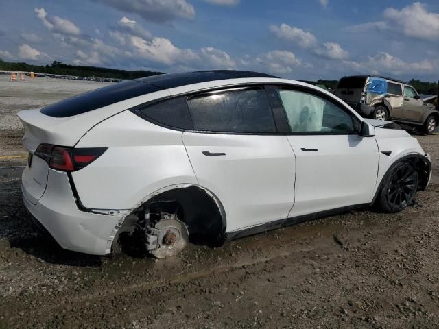 2020 Tesla Model Y