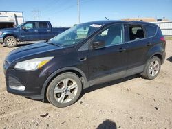 Vehiculos salvage en venta de Copart Bismarck, ND: 2013 Ford Escape SE