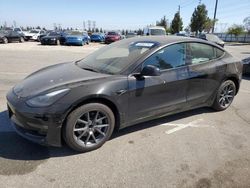 Tesla salvage cars for sale: 2023 Tesla Model 3