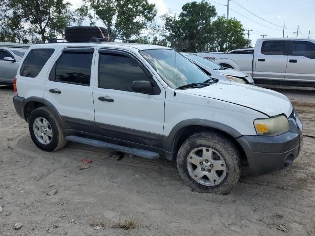 2006 Ford Escape XLT