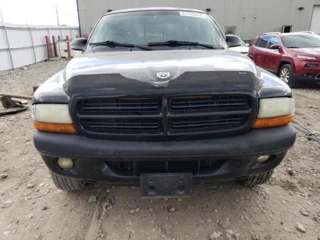 2001 Dodge Dakota