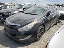 Hyundai Vehiculos salvage en venta: 2011 Hyundai Sonata Hybrid