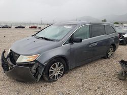 Honda salvage cars for sale: 2011 Honda Odyssey EXL