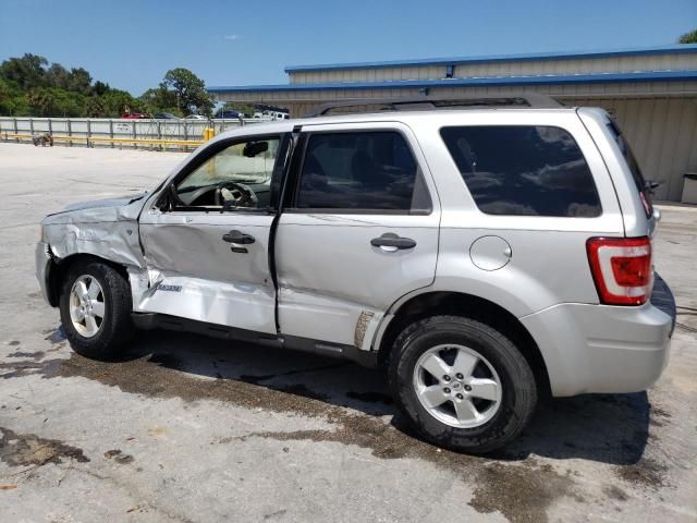 2008 Ford Escape XLT