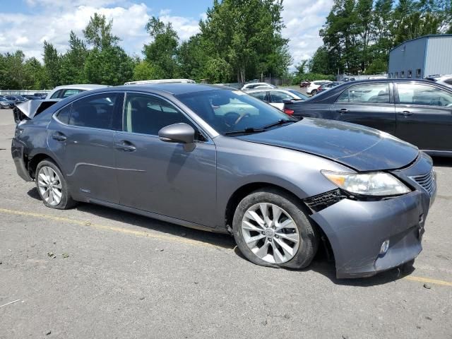 2013 Lexus ES 300H