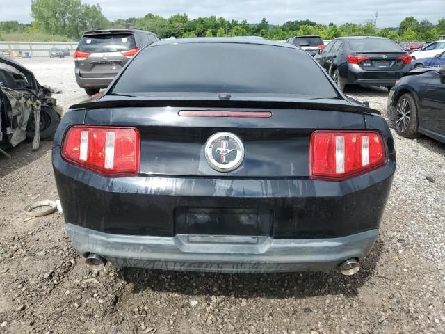 2010 Ford Mustang