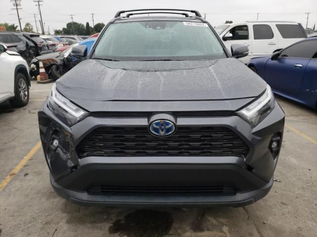 2024 Toyota Rav4 XLE Premium