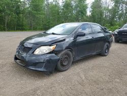 2010 Toyota Corolla Base for sale in Bowmanville, ON