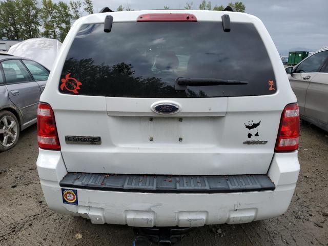 2008 Ford Escape XLT