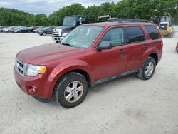 Ford Vehiculos salvage en venta: 2012 Ford Escape XLT