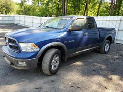 Dodge Vehiculos salvage en venta: 2010 Dodge RAM 1500