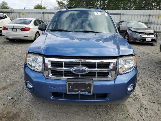 2009 Ford Escape XLT