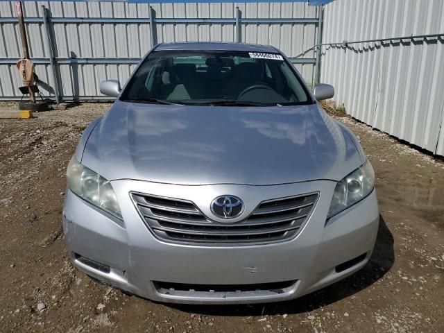 2009 Toyota Camry Hybrid