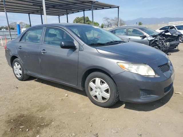 2009 Toyota Corolla Base