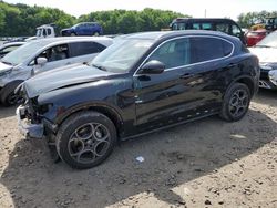 Alfa Romeo Stelvio salvage cars for sale: 2018 Alfa Romeo Stelvio