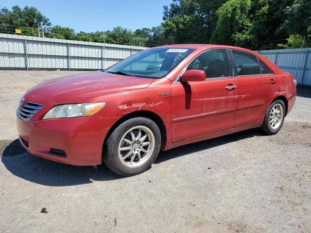 2009 Toyota Camry Hybrid