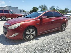 Vehiculos salvage en venta de Copart Opa Locka, FL: 2011 Hyundai Sonata Hybrid