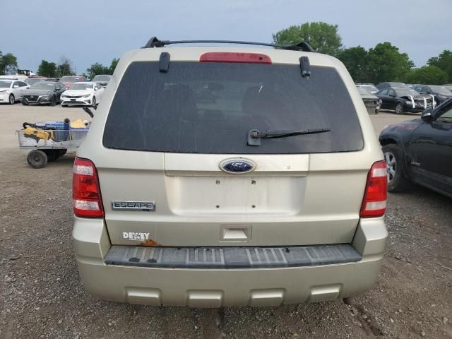 2010 Ford Escape XLT