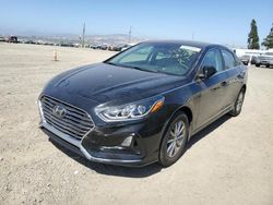 Vehiculos salvage en venta de Copart Vallejo, CA: 2019 Hyundai Sonata SE