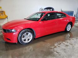 Salvage cars for sale from Copart Greenwood, NE: 2023 Dodge Charger SXT