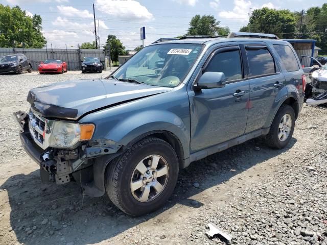 2011 Ford Escape Limited