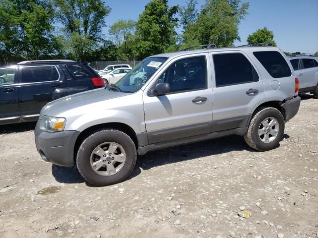 2007 Ford Escape XLT