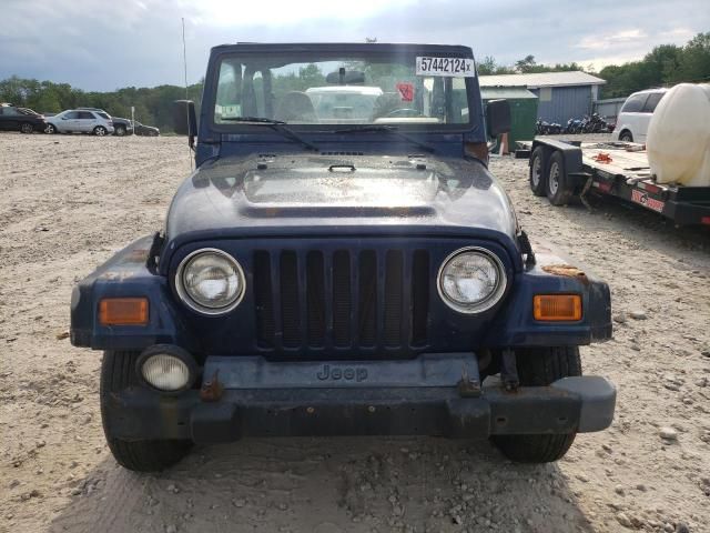 2002 Jeep Wrangler / TJ Sport