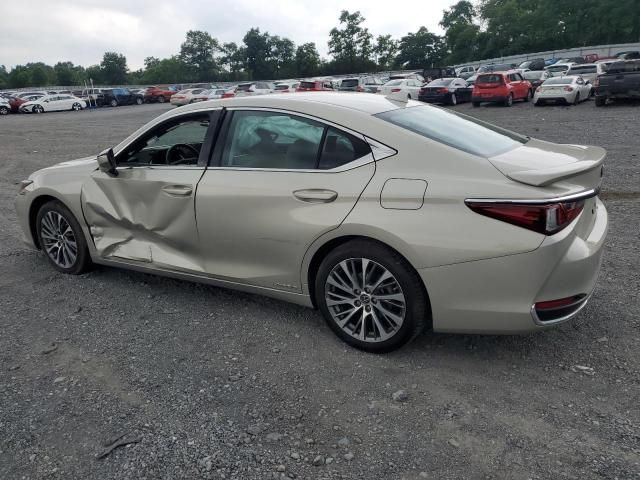 2020 Lexus ES 300H