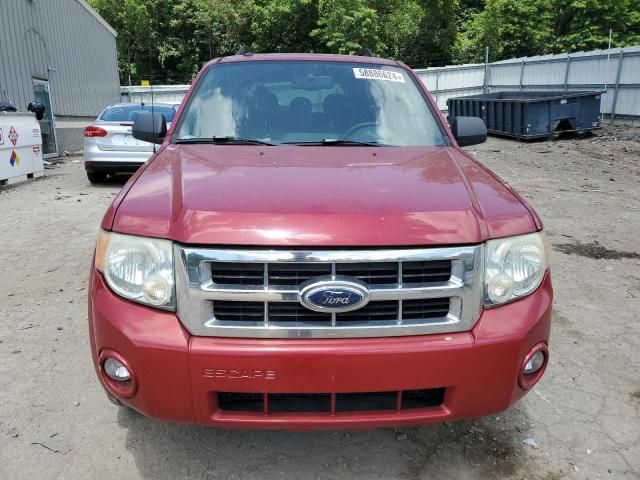 2009 Ford Escape XLT