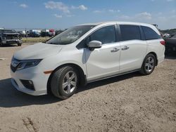 2019 Honda Odyssey EXL en venta en Houston, TX