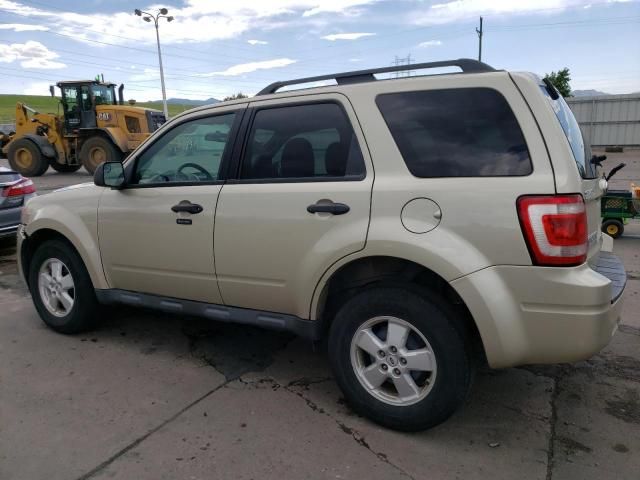 2010 Ford Escape XLT