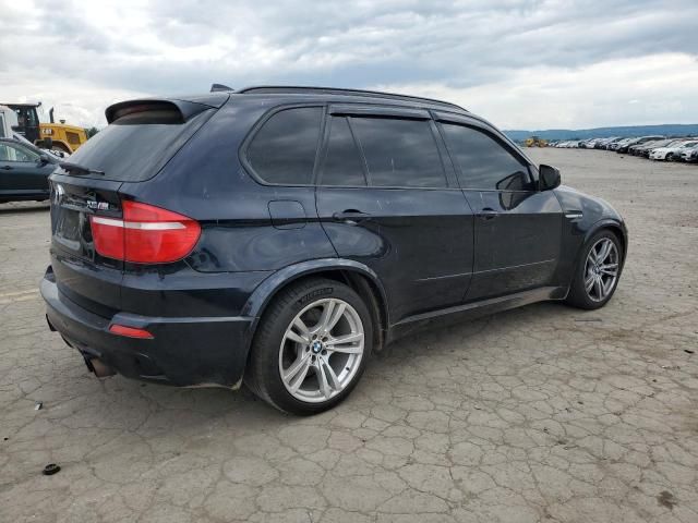 2010 BMW X5 M