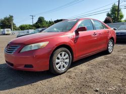 Toyota salvage cars for sale: 2009 Toyota Camry Hybrid