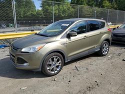 Ford Escape sel Vehiculos salvage en venta: 2013 Ford Escape SEL