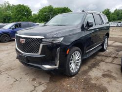 2023 Cadillac Escalade Luxury en venta en Marlboro, NY