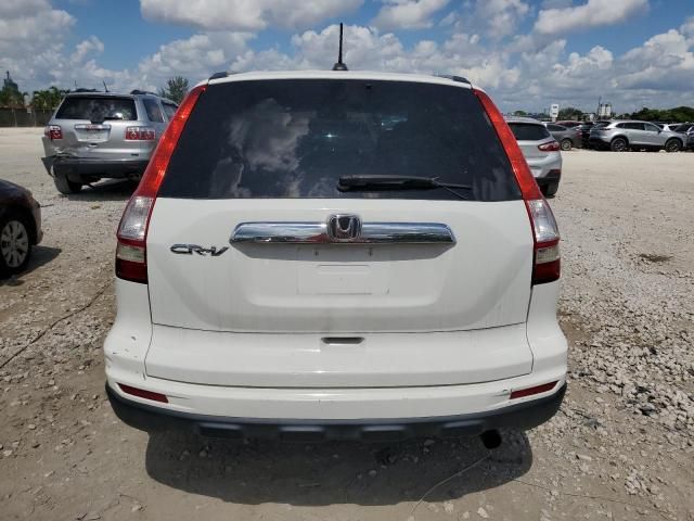 2010 Honda CR-V EXL