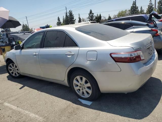 2008 Toyota Camry Hybrid