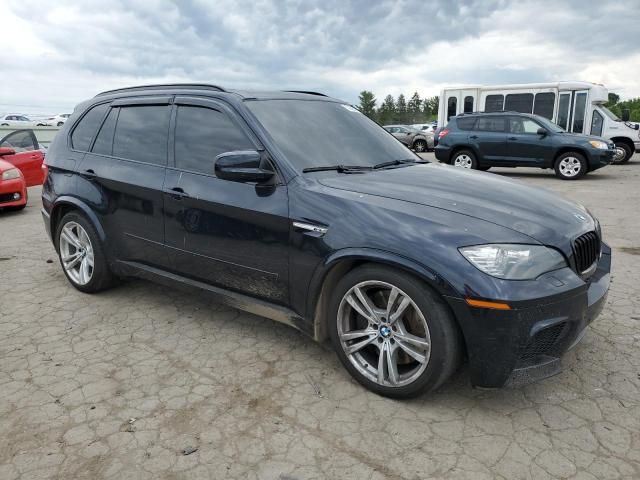 2010 BMW X5 M