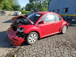 Volkswagen salvage cars for sale: 2010 Volkswagen New Beetle