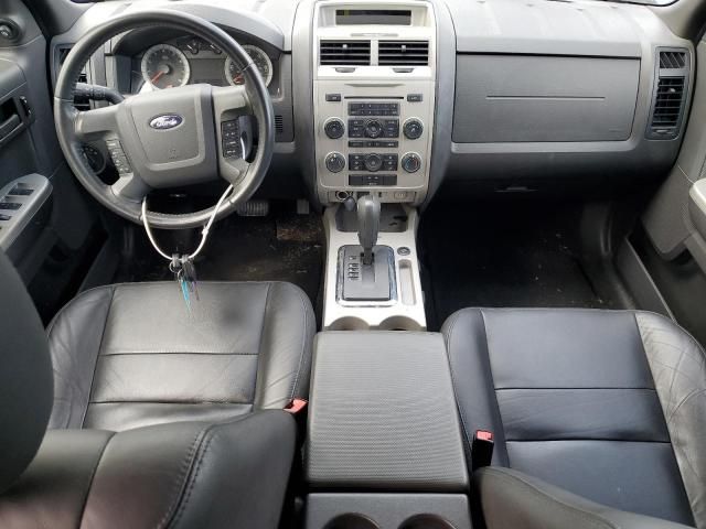 2009 Ford Escape XLT