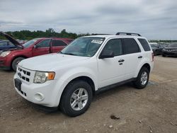 Ford Escape salvage cars for sale: 2010 Ford Escape Hybrid