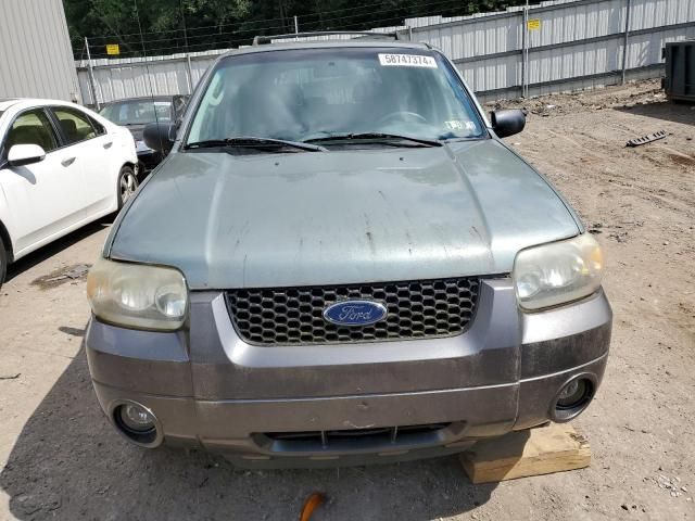 2005 Ford Escape XLT