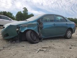 Vehiculos salvage en venta de Copart Waldorf, MD: 2010 Toyota Corolla Base