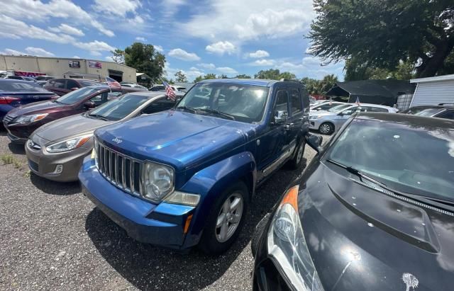 2010 Jeep Liberty Limited