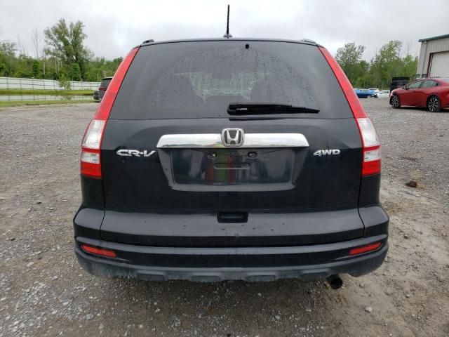 2010 Honda CR-V EXL