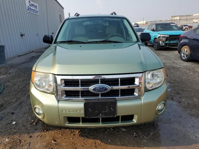 2008 Ford Escape XLT