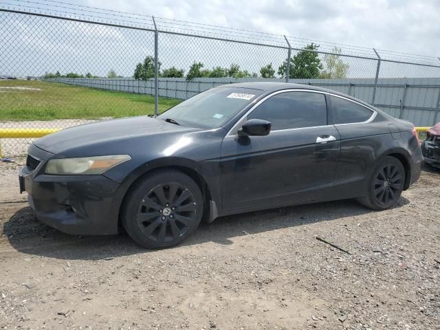 2008 Honda Accord EXL