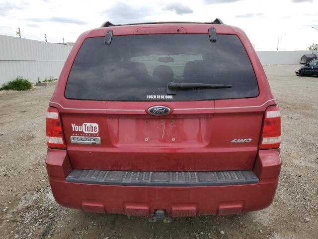 2008 Ford Escape XLT