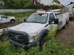 Salvage cars for sale from Copart Davison, MI: 2013 Ford F450 Super Duty