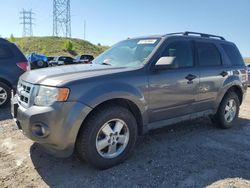 Ford salvage cars for sale: 2011 Ford Escape XLT